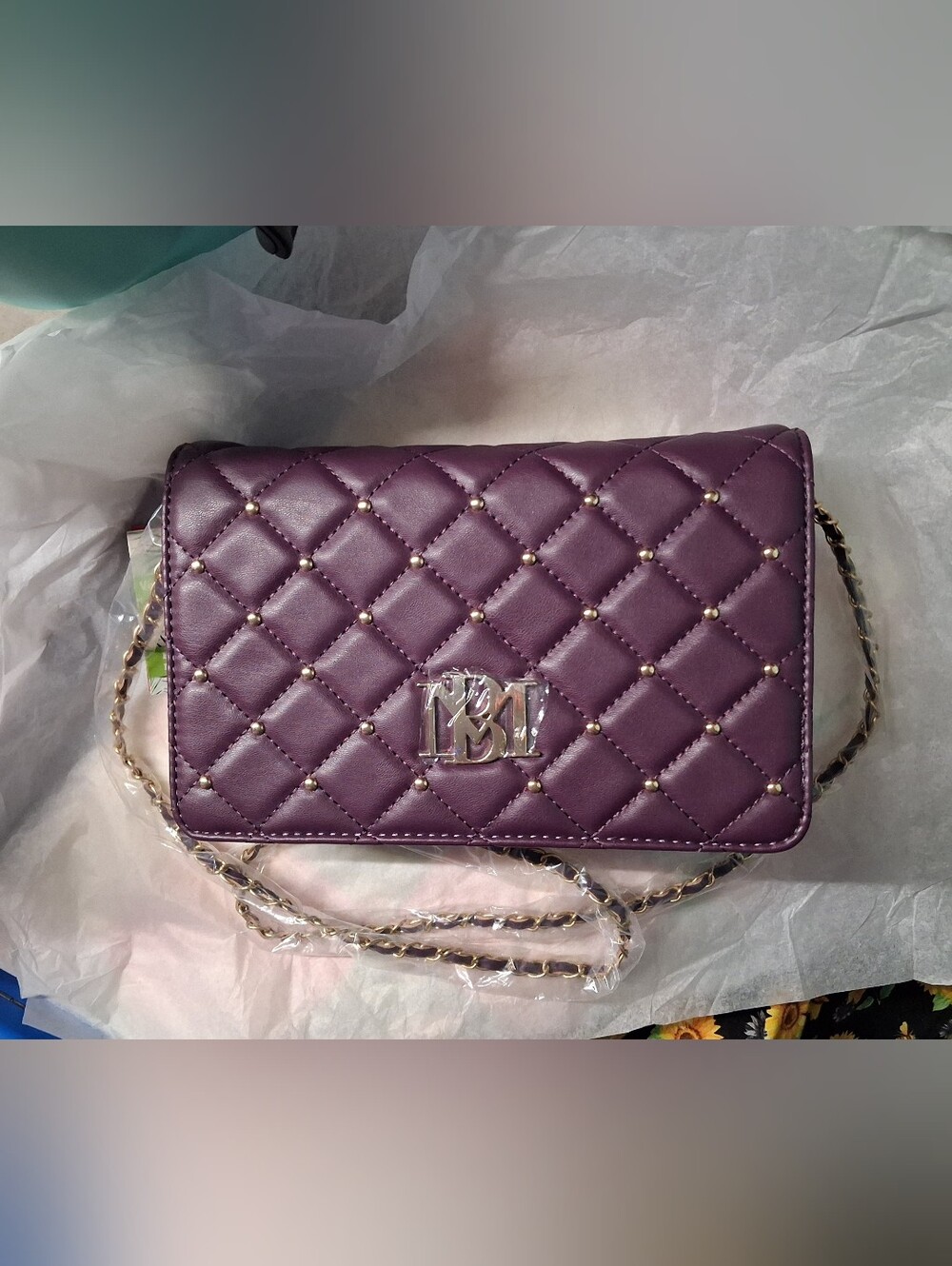 NWT Badgley Mischka Designer Handbag